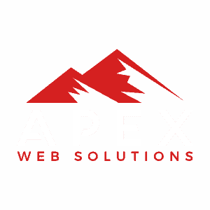 Download Website Design Development And Seo Apex Web Solutions